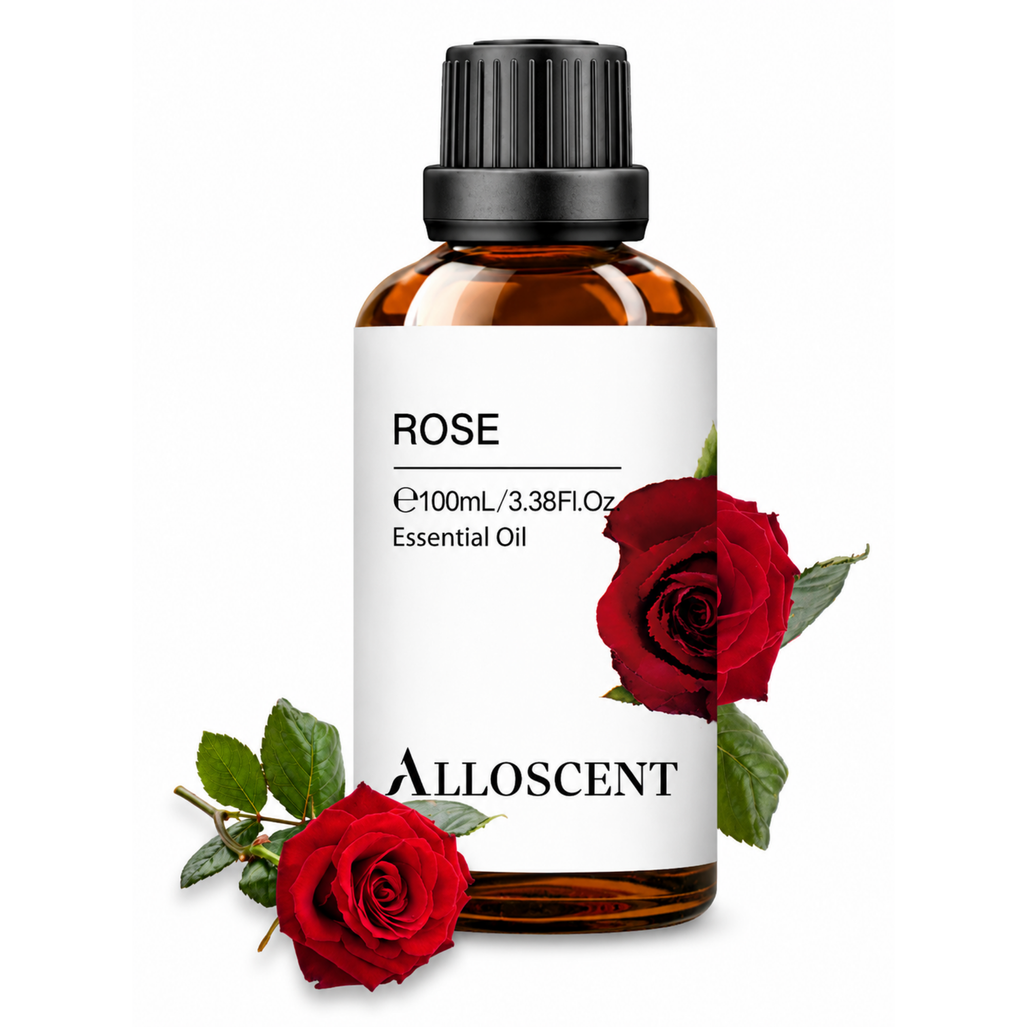 Satin Rose
