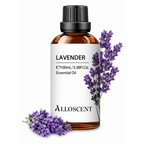 Lavender Dream