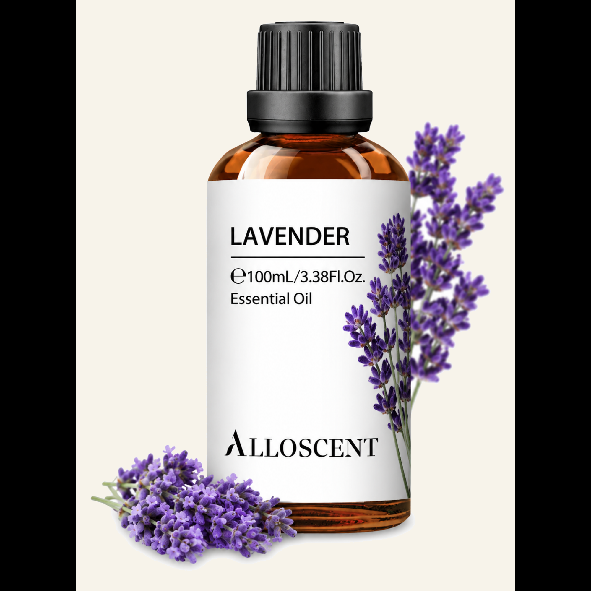 Lavender Dream